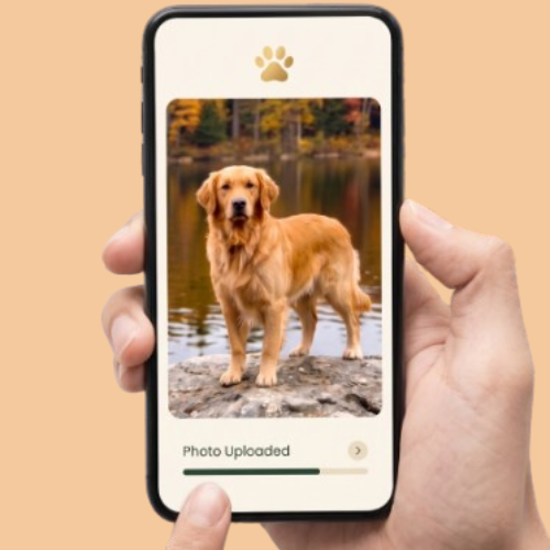 Upload Your Pet’s Photo
